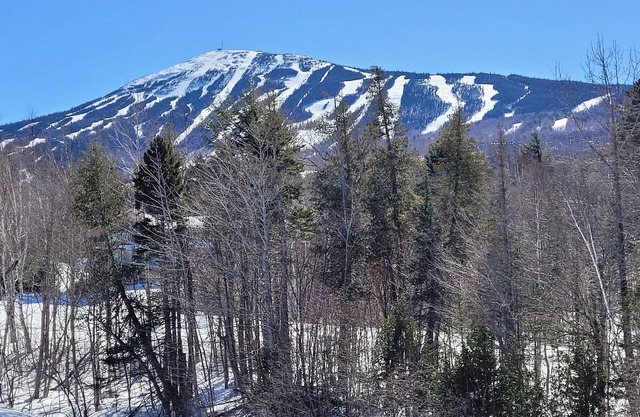 Snowbrook: Ski in/out access with pool, hot-tub, and sauna for après ski!