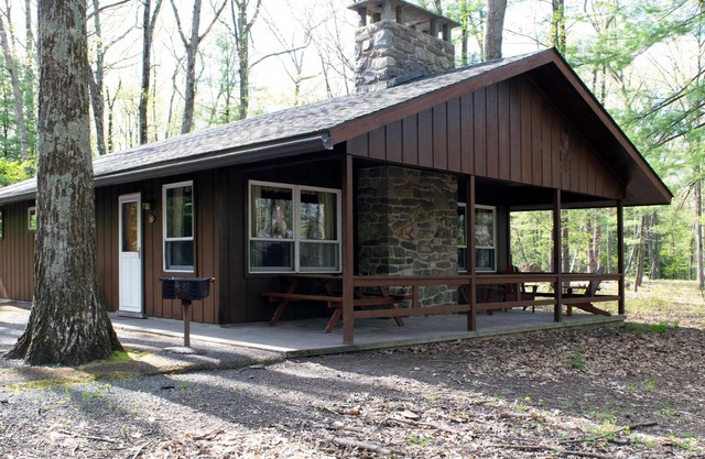 Spacious 3 Bedroom Lake View Cabin with stunning cedar interior