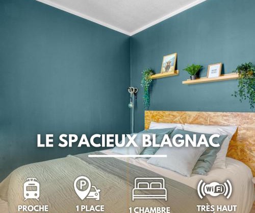 Spacious Apartment Blagnac Parking-Tram-Airport