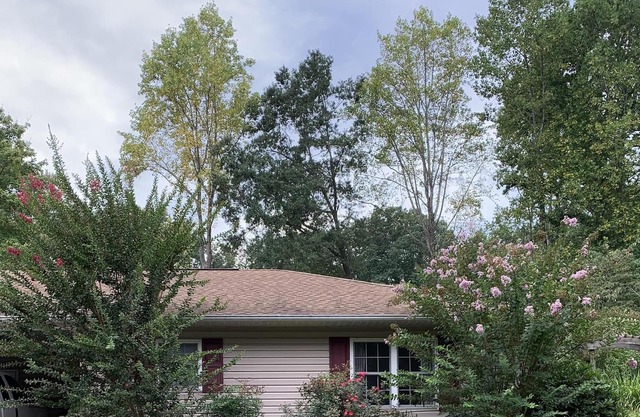 Spacious apartment located in lovely Landrum, SC