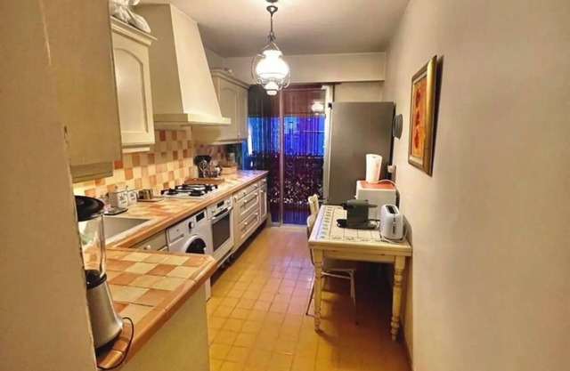 Spacious apartment Nice