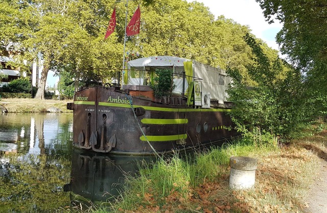 Spacious, comfortable houseboat in downtown Toulouse
