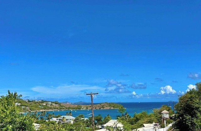 Spacious family Cottage with tropical views