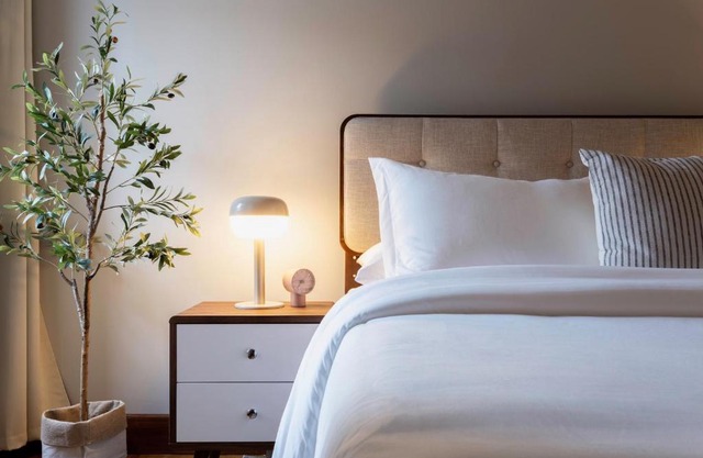 Spacious Stay near Yale in Downtown New Haven