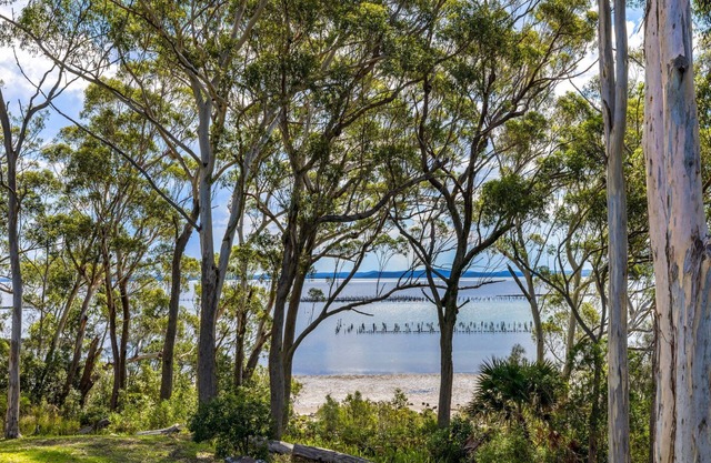 Spacious Woodlands Water Front Soldiers Point- Ground Floor Apartment