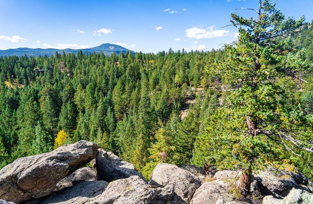 Spectacular 40 Acre Mountain Paradise Near Boulder