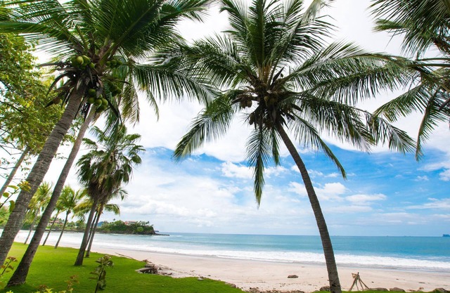 Spectacular - spacious unit in Flamingo in front of the beach