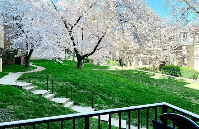 Splendid 2bed 2bath condo in Silver Spring with free Parking laundry and AC WiFi