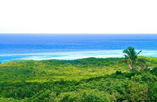 Stairway to a Heavenly View, Elevated panorama of the island