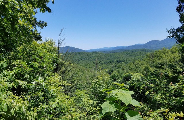 Stay in our private and secluded cabin close to all the Smoky attractions