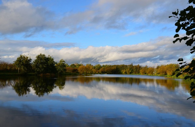 Storkesøen Ribe