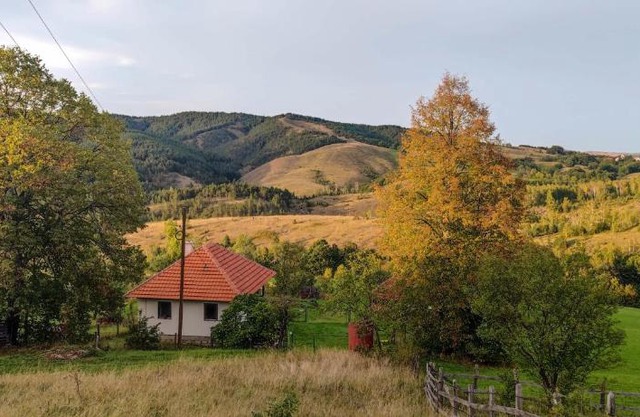 Studenac Mionica