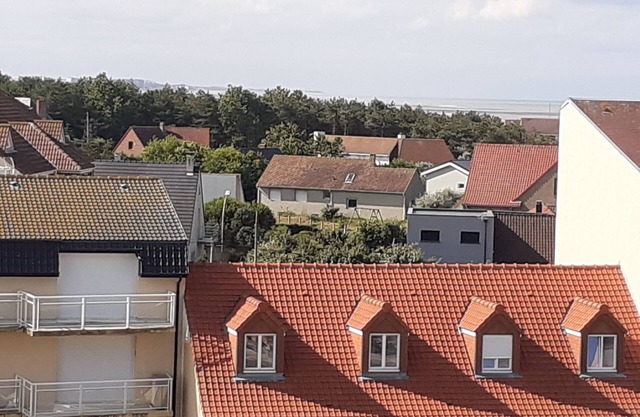 Studio Cabin 100 meters from the beach