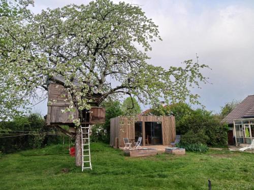 studio de jardin