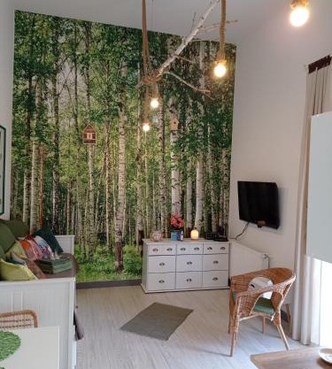 Studio Leśne