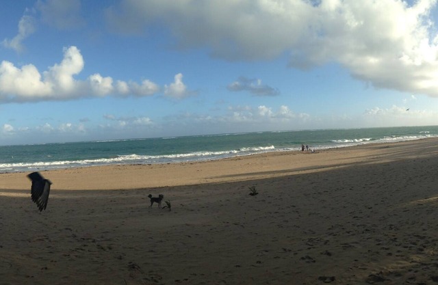 Studio @ White House By The Beach, with plenty of sunlight and fresh air!