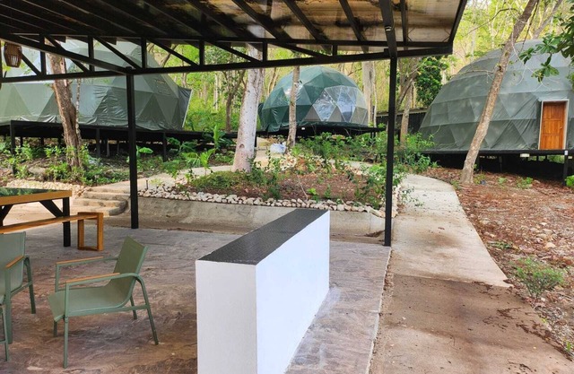 Stunning 50m2 Dome in middle of wildlife 400 meters/yards to the beach, sleeps 4