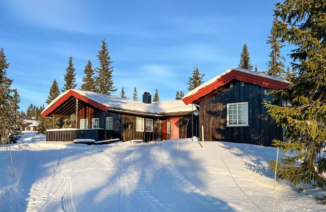 Stunning home in Sjusjøen with sauna