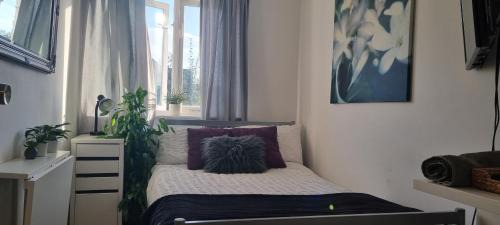 Stylish Small Double with Free Parking near Hampton Court-R1