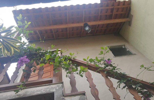 Suíte Verde