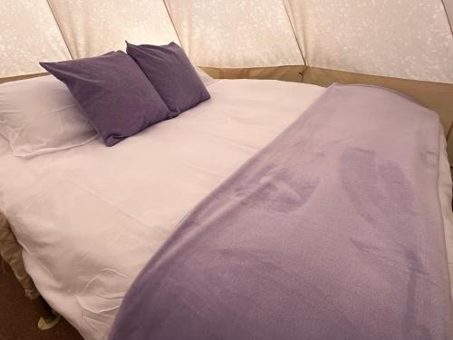 Sueño de Lavanda en Glamping Rincón de Lavanda