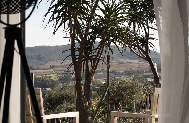 Sugarbird Manor at Protea Heights Farm