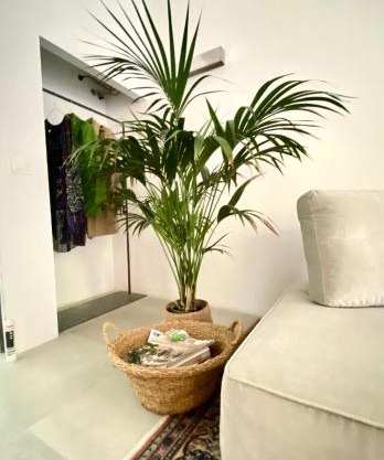 Suite con giardino Ravenna