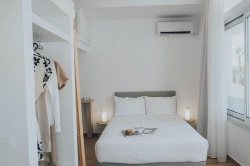 Suitenes Coast