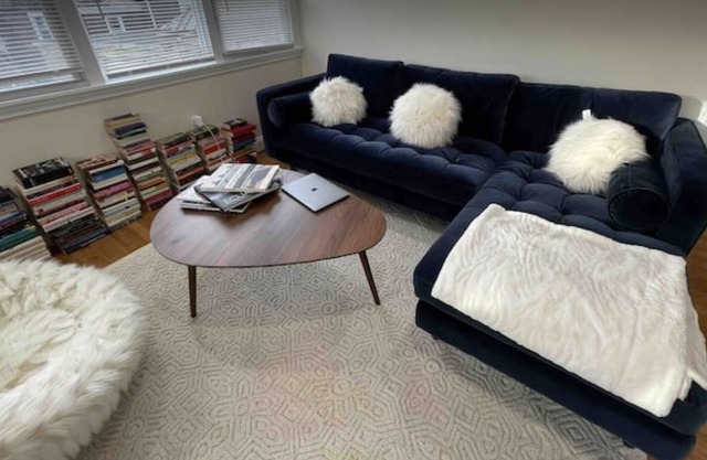 Sunny, beautiful, cozy and spacious Cambridge apt.