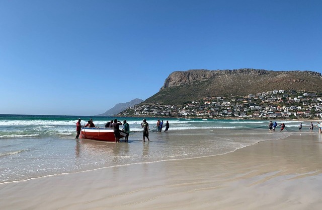 Sunny Cove Manor