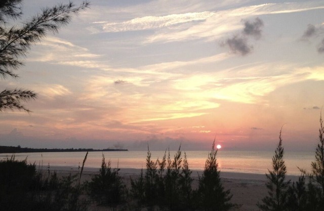 Sunny Daze, 1 bed 1 bath with beach access
