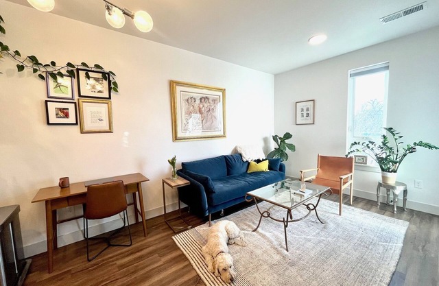Sunny, Modern 1 BD 1 Bath