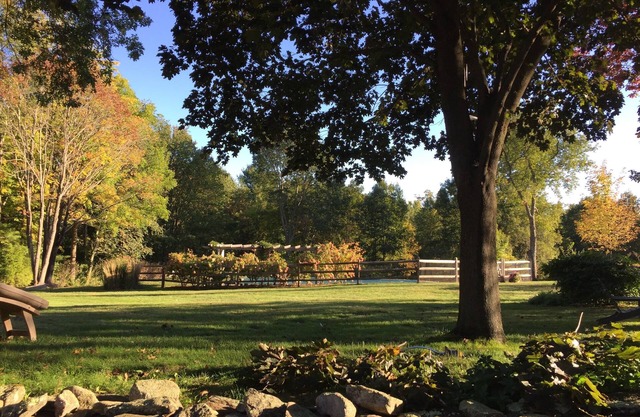 Super comfy, chic converted barn with saltwater pool on 6 acres.