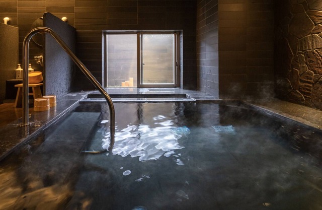 Super Hotel Kanku Kumatoriekimae