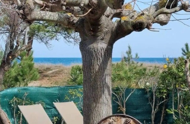 Superb, cosy accommodation by the sea in la marana