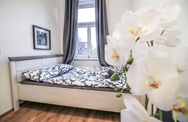 Superior Double room LV b