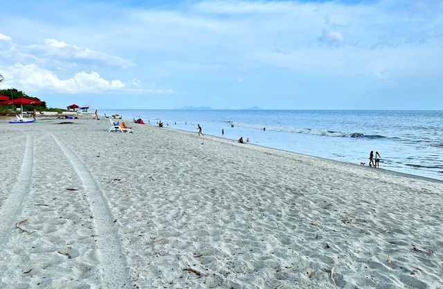 Surf Relax Play Beautiful Pacific Beach Villa