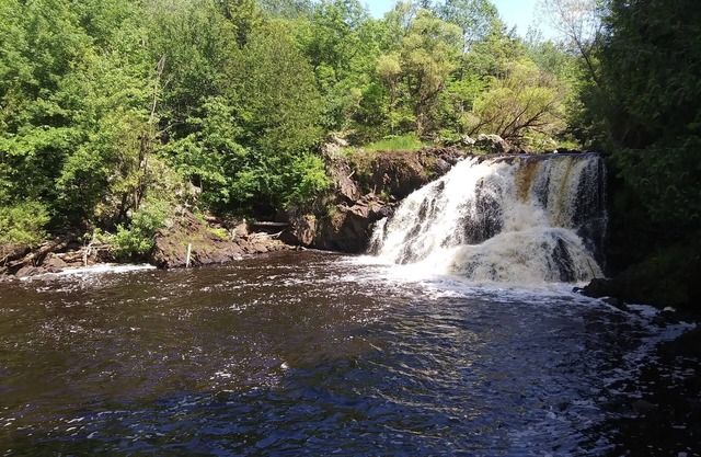 Sweet Amenities, Comfort & Nature !