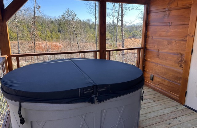 Sweet Thang-Hot Tub, Fireplace,Hiking,View,Near Asheville ,WiFi