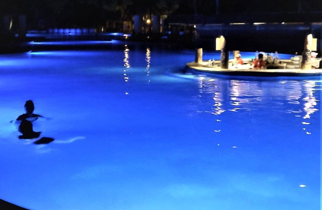 The Grand Mayan; Luxury in a Beautiful Jungle with Warm, Sunny Beaches!