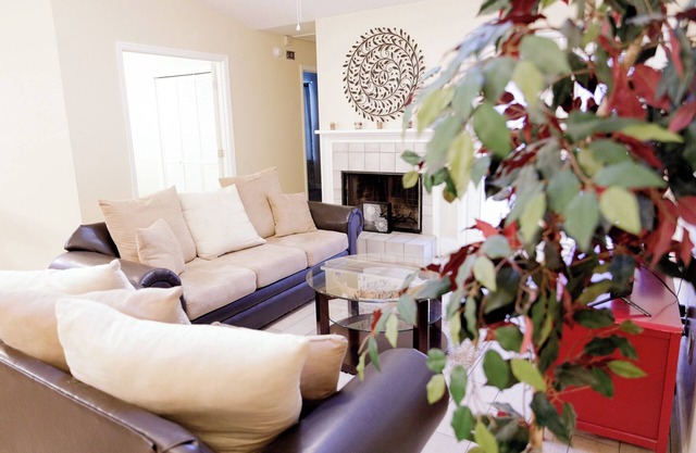 Tallahassee Gem: Comfy, Cozy & Convenient