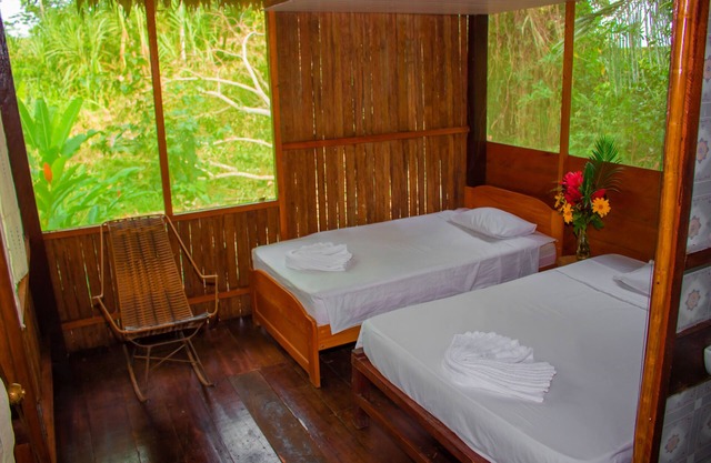 Tambopata Log