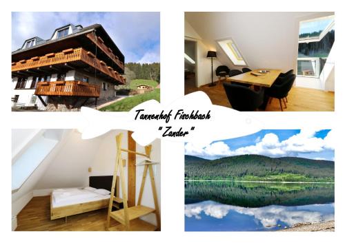 Tannenhof Fischbach - Fewo 5 "Zander" - Schluchsee, 2 Schlafzimmer Schlafgalerie, E-Auto Ladestation