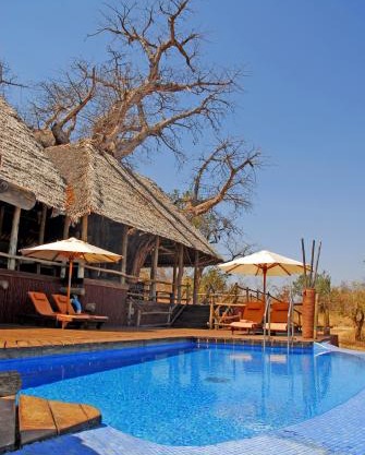 Tarangire Treetops
