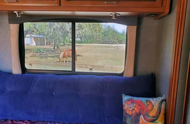 Taste of Tiny Living in Pet Friendly Paradise
