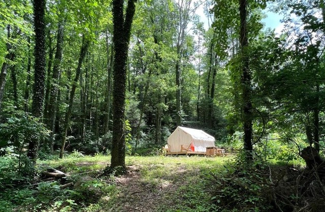 Tentrr Signature Site - Summer Haven Campsite #2