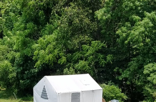 Tentrr Signature Site - Creekside Woods Getaway