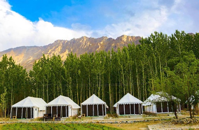 Terrain Ladakh Camping