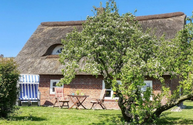 Thatched-roof house Haubarg-Kieker - Vacation home Haubarg Kieker