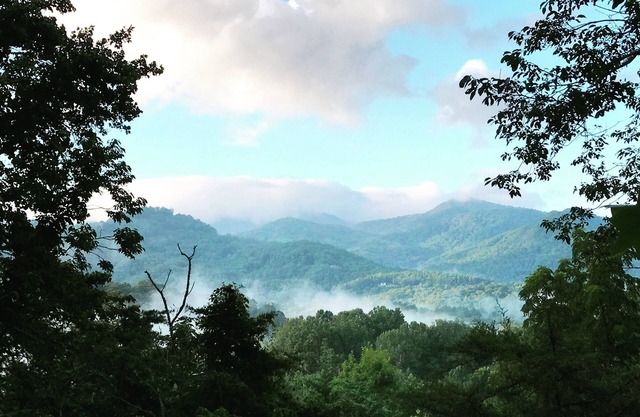THE BEAR DEN - Franklin's Most Beautiful Mountain View